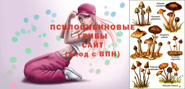 наркотики Горняк
